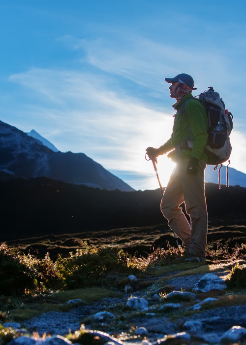 Strong Future Wild Nature Wellness