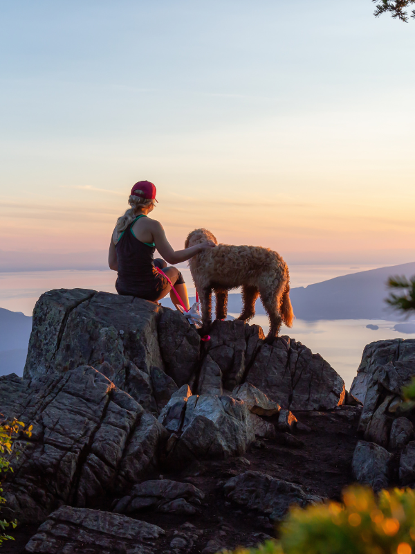 Shifting from Summer woman and dog