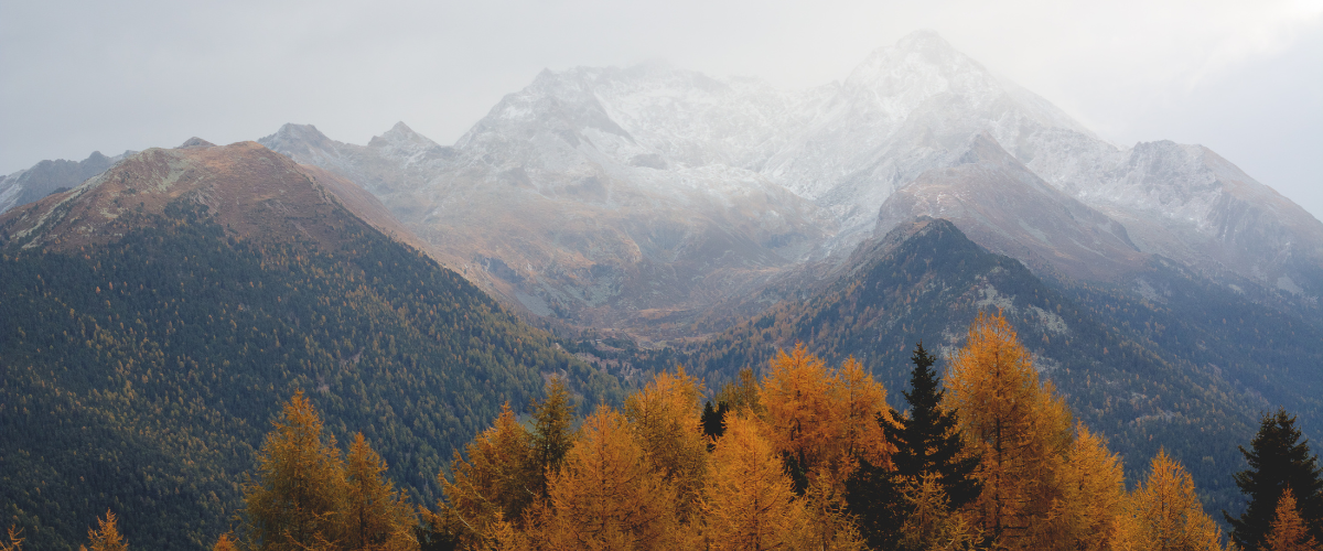 Gratitud, curación e historia Gratitude, Healing and History