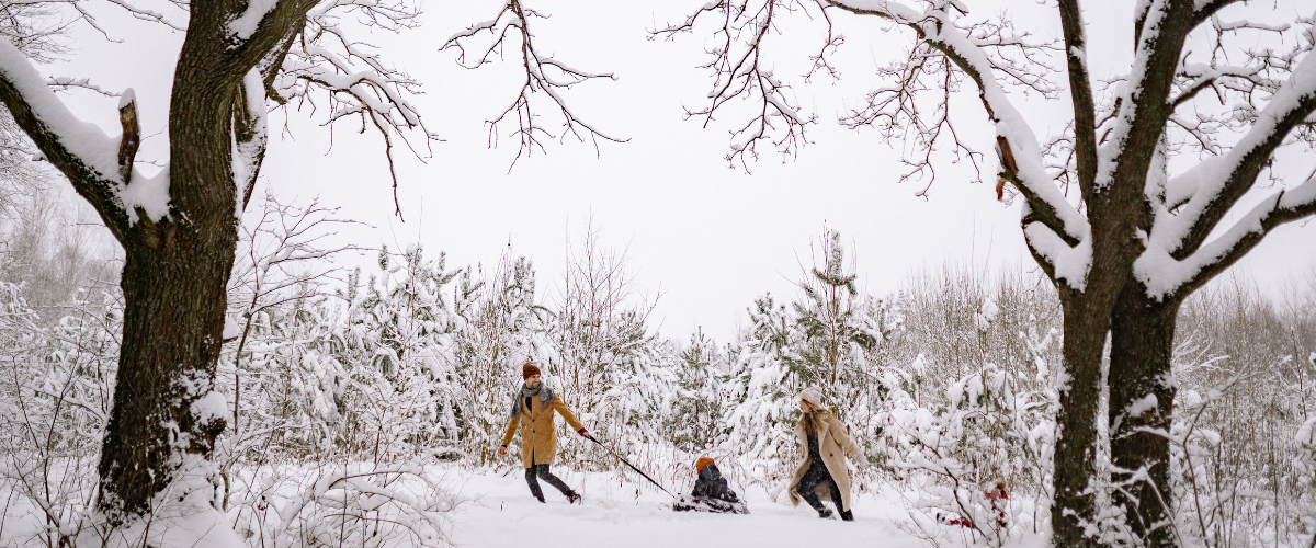 Snowy scene family The quiet wait of waiting