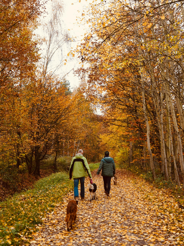Quizás también deberíamos preparar nuestra comunidad para el invierno Maybe We Should Winterize Our Community, Too<br />